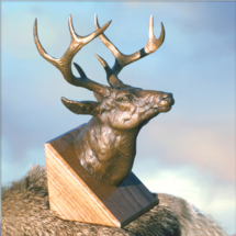 Deer Bust $450 5"H clark bronson, wildlife statues, sculpture, bronze, figures, castings, bronze, pieces, figurine, white-tail deer, buck, bust, head, antlers