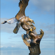 Eagle's Conquest $21,500 34"H X 24"W bronze, sculpture, casting, statue, figurine, bald eagles, fighting, salmon fish trout clark bronson