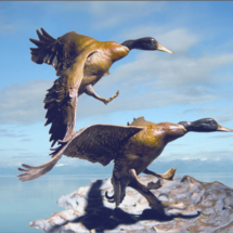 Wings Against the Wind $14,995 18"H X 23"W bronze casting, sculpture, figurine, water fowl wildlife, mallard drake, ducks in flight, clark bronson