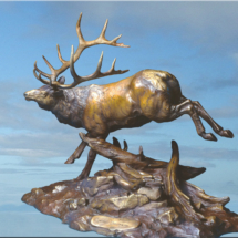 Royal Elk $7,495 17" H X 18"L bronze casting, sculpture, figurine, wildlife, bull elk, wapiti, running clark bronson, royal elk