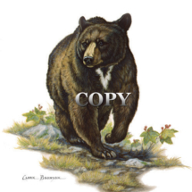 bear, black, walking, watercolor, picture, art, painting, clark bronson