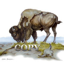 bison, buffalo, prairie scene, watercolor painting, picture, art, american plains, clark bronson