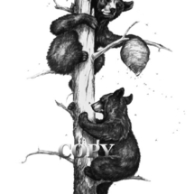black bear, cubs, dead tree, bee hive, after honey, pencil sketch, art, drawing, clark bronson