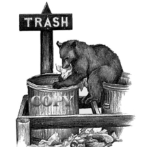 black bear, raiding trash can, pencil drawing scene, sketch, art, illustration, picture, painting, clark bronson