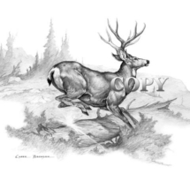 mule deer, buck, four-point, running, mountain scene, american west, pencil sketch, drawing, art, illustration, picture painting, clark bronson