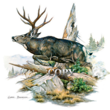 mule deer, buck, four-point, mountain scene, american west, art, illustration, picture, painting, clark bronson
