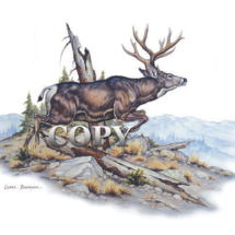 mule deer, buck, jumping running, mountain scene, watercolor, art illustration, picture, painting, four-point antlers, american west, clark bronson