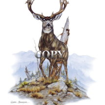mule deer, buck, head on, mountain ridge, watercolor, scene, american west, art, picture, painting, illustration, clark bronson