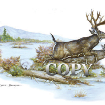 white-tailed, deer, buck, doe, running, mountain scene, winter, painting, picture, watercolor, illustration, clark bronson