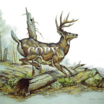 white-tailed, deer, buck, running, watercolor, painting, mountain scene, picture, clark bronson