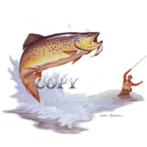 fish, trout, brown, hooked, jumping, fisherman, painting, watercolor, picture, art, clark bronson
