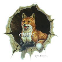 red Fox, hole in log, art, picture, illustration, watercolor, clark bronson, painting 