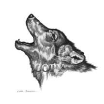 gray wolf, head, bust, howling, pencil sketch, picture, drawing, illustration, clark bronson