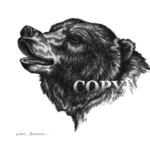 grizzly, brown, Kodiak, bear, head, pencil drawing, sketch, picture, illustration, clark bronson