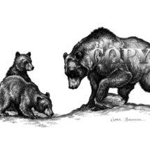 grizzly, brown, bear, sow, mother, cubs, pencil drawing, sketch, illustration, picture, clark bronson