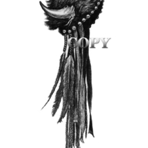 lndian hat, regalia, buffalo bison horns, illustration, clark bronson, picture 