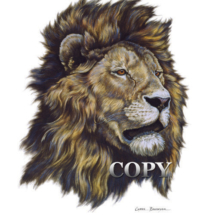 lion, african, head, bust, watercolor, picture, clark bronson