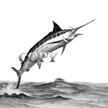 large edible billfish, warm water, fish, marlin, watercolor, ocean scene, jumping, fish, picture, illustration, clark bronson
