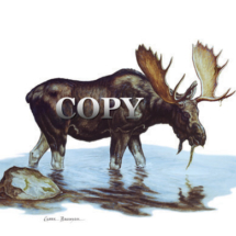 moose, stream, water color, picture, clark bronson,