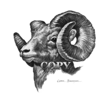 rocky mountain, bighorn, sheep, ram, curled horns, picture, illustration, clark bronson