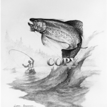rainbow trout, fish, pencil sketch, black-and-white, fisherman, clark bronson, art, drawing, picture
