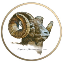 watercolor, bighorn ram, sheep, bust, horns, art, picture, circled, clark bronson