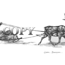 reindeer, caribou, pencil drawing, picture, black-and-white, eskimo sled, snow, arctic, sketch, clark bronson