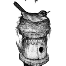 robin, black-and-white, pencil sketch, drawing, picture, bird house, American song bird, clark bronson