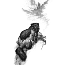 wildlife art, illustration, picture, image, pencil drawing, painting, wolverine raiding trap, trapper, clark bronson