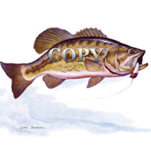 bass, largemouth, fish, hooked, art, painting, picture, clark bronson 