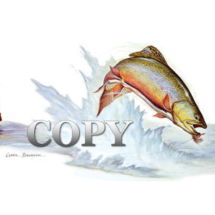 brook trout, watercolor, fisherman, game fish, art, illustration, picture, painting, Salvelinus family, United States, Canada, clark bronson
