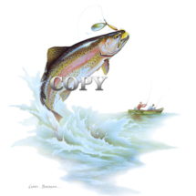 rainbow, trout, spinner, fishing boat, jumping, art, picture, watercolor painting, clark bronson