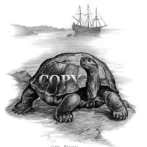 tortoise, land turtle, reptile, pirate ship, ancient, pencil sketch, art, painting, illustration, picture, clark bronson